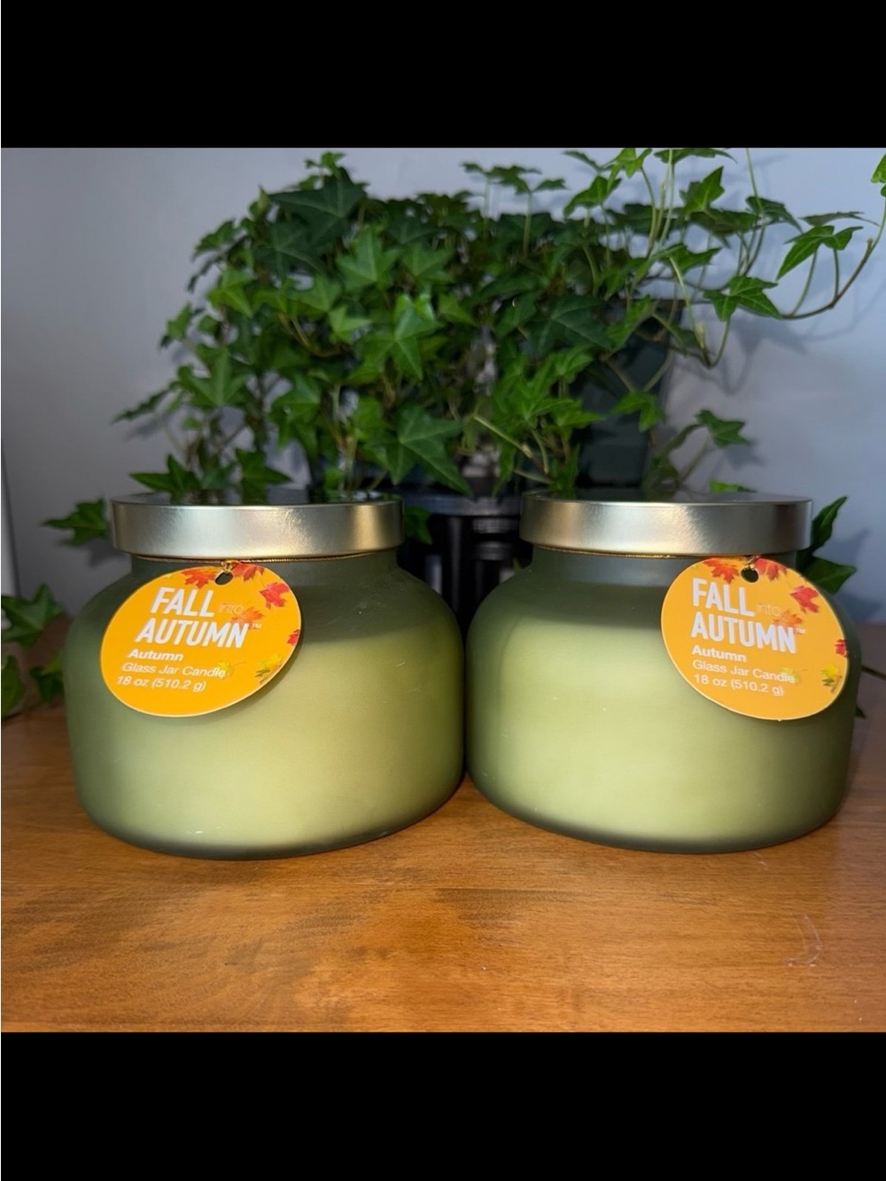 Fall into Autumn 2 Wick Glass Jar Candles (set of 2)